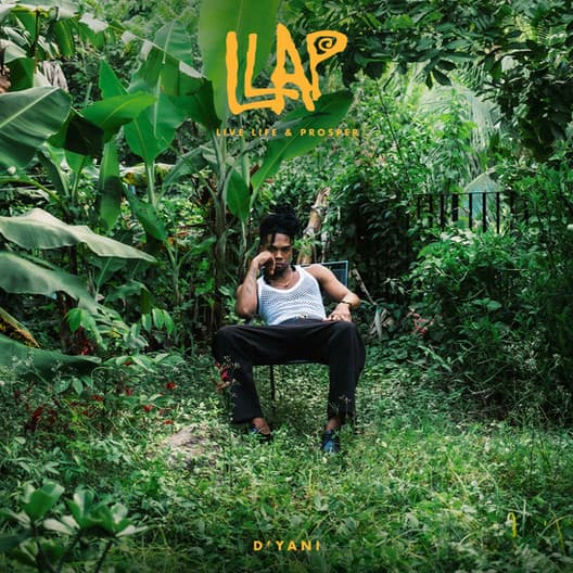 LLAP (Live Life and Prosper) album cover